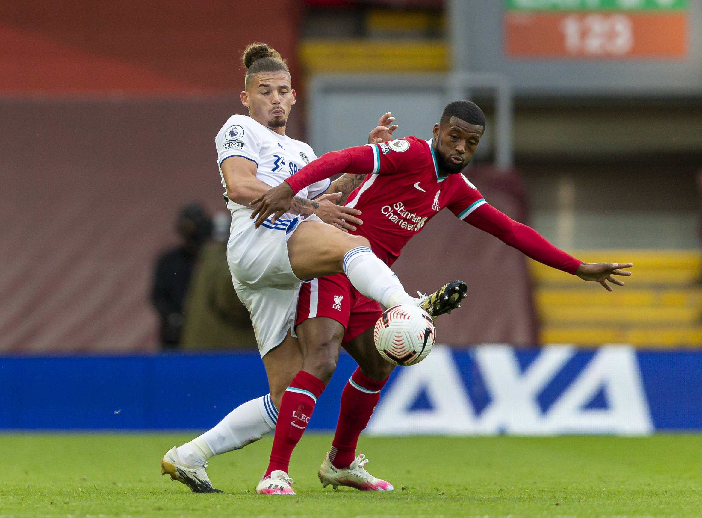 的新腾飞 的新腾飞